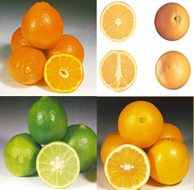 Jugo de Cítricos