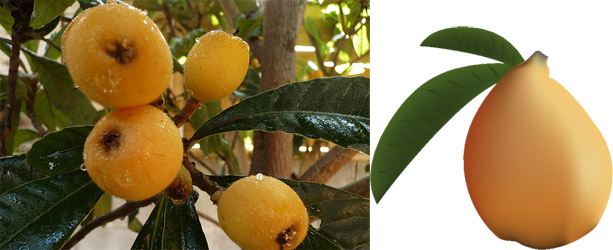 apetito