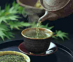 té diente de león