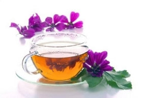 La planta de té de malva