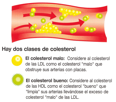 colesterol malo
