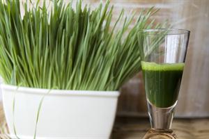 Jugo de Pasto de Trigo